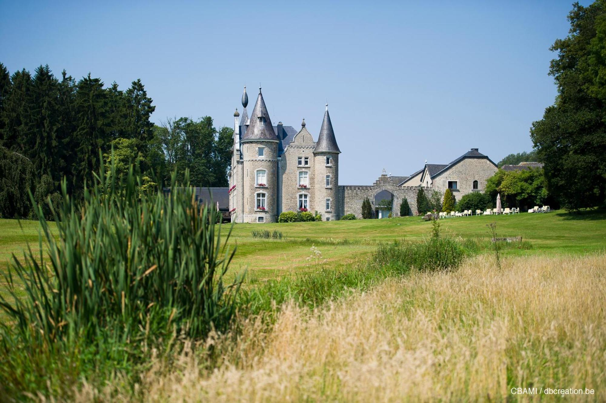 Chateau D'Hassonville Aye 외부 사진